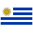 Uruguay .ORG.UY - Domgate